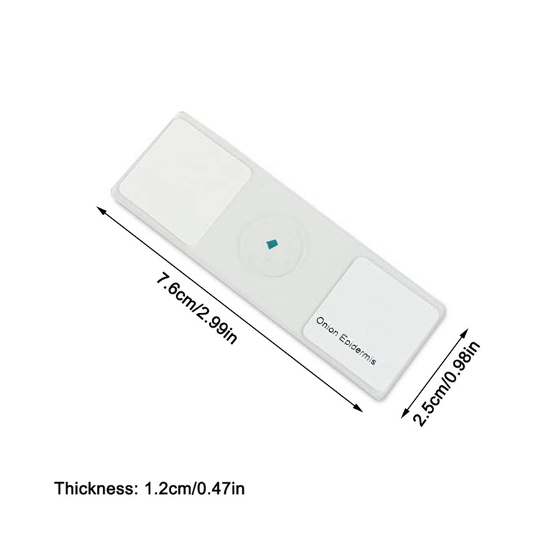 25 Slides with Samples, Prepared Slides, Prepared Microscope Sample Slides,