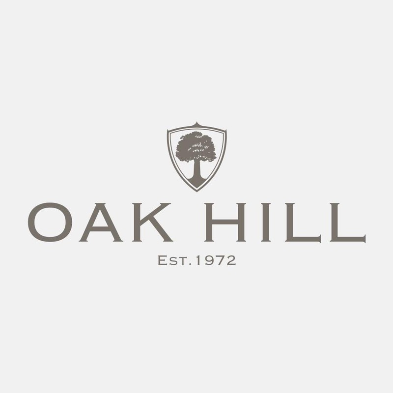 Oak Hill Solid Silk Tie Lilac XL