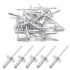 BESTYCHAO 50pcs Aluminum Blind Rivets with Large Flange 4.8mm x