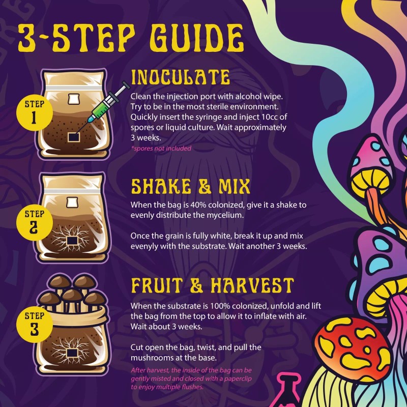 Spore Sorcery 6lbs All-in-One Mushroom Grow Kit in a Bag