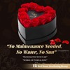 Anthonic Anthonic 12 Preserved Roses in Heart-Shaped Box - Eternal