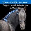 SU-PER MSM Ultra Pure Horse Joint Supplement - Helps Maintain
