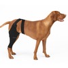 Joypig Joypig Dog Rear Leg Sleeve to Prevent Licking -