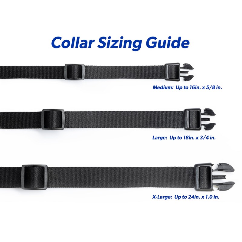 Genuine High Tech Pet MS-5 with Deluxe Collar (Black, Large)