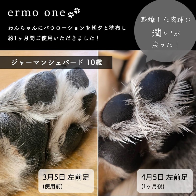 ermo one Paw Moisturizing Lotion, 2.8 fl oz (80 ml),