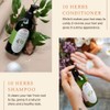 10 Herbs Rejuvenate Shampoo for Bright and Shiny Hair, Sage,