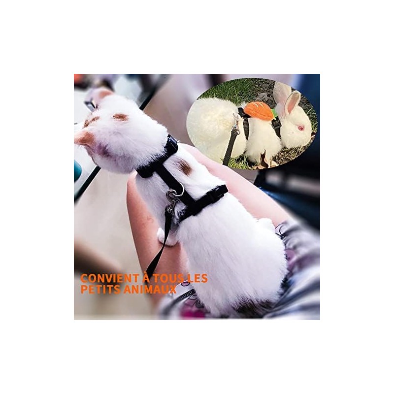 Arnés Ajustable para Gatos y Gatitos