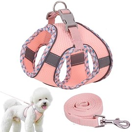 Arnés para Perro y Gato - Máxima protección y Comodidad para tu Mascota en Todo Momento,con Bono de Correa de 1.5 Metros (Rosa, M)