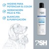 PSH White Vibes Shampoo