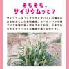 LOHAStyle(ロハスタイル) オオバコ サイリウム 250g 国内製造 サイリウムハスク 不溶性食物繊維 香料・着色料・保存剤不使用
