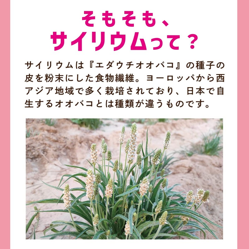 LOHAStyle(ロハスタイル) オオバコ サイリウム 250g 国内製造 サイリウムハスク 不溶性食物繊維 香料・着色料・保存剤不使用