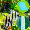 2 Pack Angelfish Discus Breeding Slate, Fish Breeding Spawning Slate