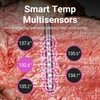 MEATER Pro: Smart Bluetooth Wireless Meat Thermometer Digital | 1000°F