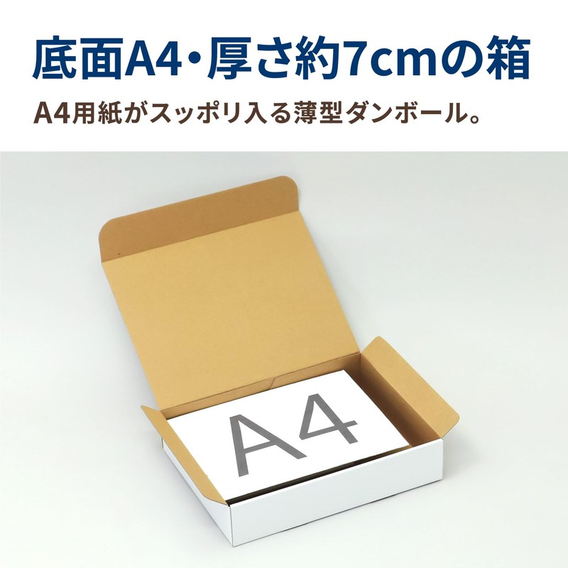 Earth Cardboard, 80 Size, A4, Thin, 10 Sheets, White, 12.8