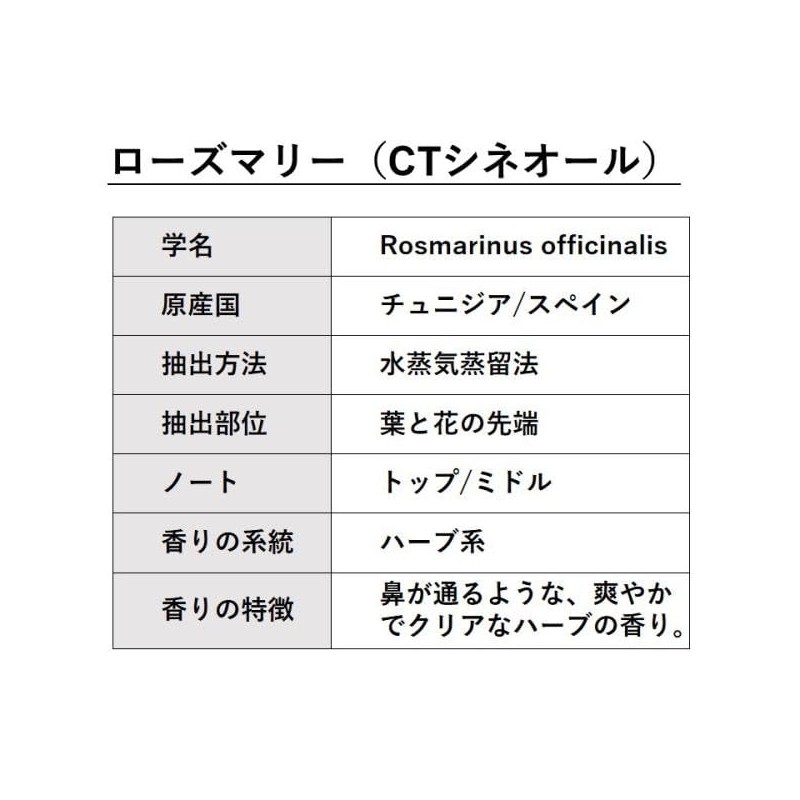 ASH Rosemary (CT Cineol) Essential Oil, 1.0 fl oz (30