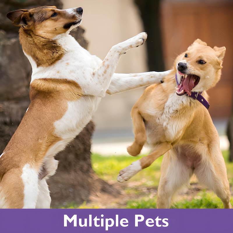 Dog Calming Pheromone Collar Set of 3,Relieves Anxiety,Keeps Dog Quiet,Foldable