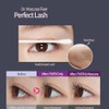 Etude- Dr. Mascara Fixer for Perfect Lash 01