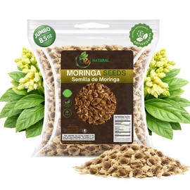 Moringa Seeds (Semillas) – 8.5 oz (Approx. 850 Seeds) – Premium Quality Moringa Oleifera – Edible – Non-GMO, Organically Grown – Superfood Rich in Nutrients – Resealable Pouch by Bexpertsusa