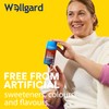 Wellgard Vegan Vitamin B12 Gummies – High Strength B12 Supplement