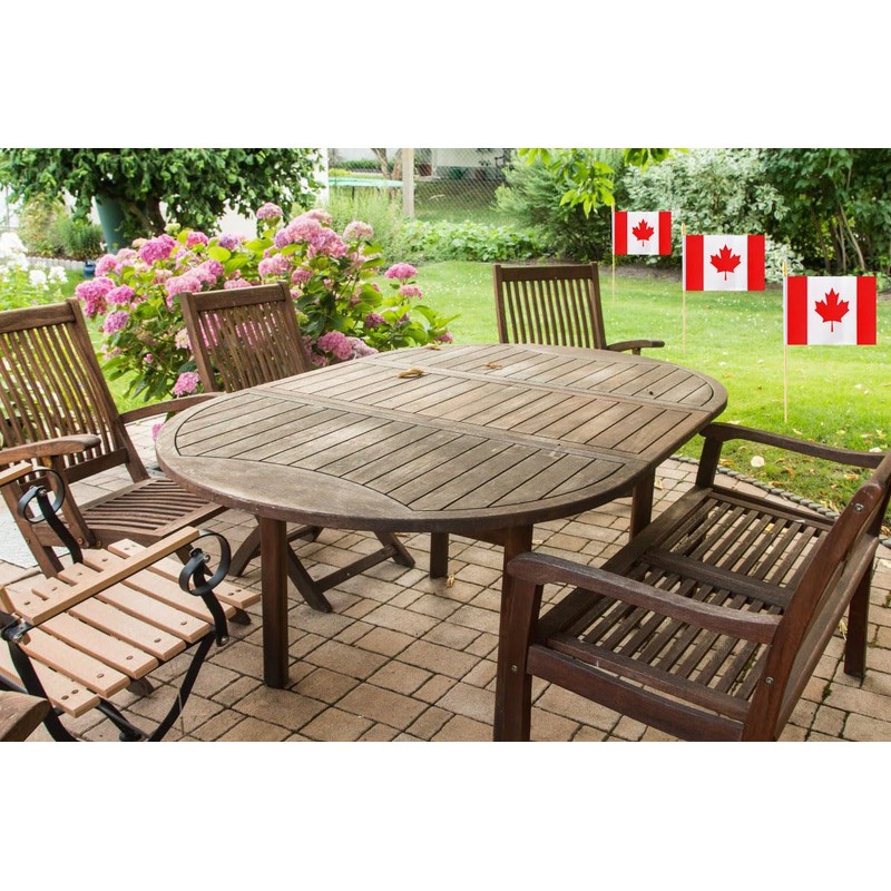 10 Pack Canada Flags -CA Handheld Flag- 5x8 in, Canadians