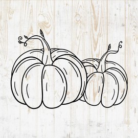 Mystical Witchy Wall Decals - Mystical Witchy Wall Stickers - Minimalist Witch Celestial Witchcraft Magic Wicca Silhouette - Car Window Tumbler Laptop Water Bottle Bedroom Room Home Decor DWSV12846