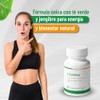 Nutrasien100 L-Carnitina 500 mg Con T Verde y Jengibre Energa