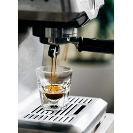 Pazzo Fresco Espresso Whole Bean Coffee 2 lb Bag Dual Roast Blend Super Fresh Crema Italian Style roasted by Crazy Fresh Since 1911