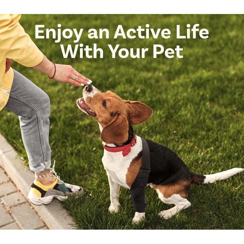 Hind Leg Dog Knee Brace, Cruciate Ligament Care Knee Brace