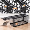 Reusable Metal Mouse Trap Cage for Indoor Rodent Control –