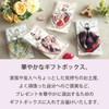Imabari Towel, Handkerchief, Triple Gauze, Gift (Daisy x Red and