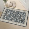Indoor Washable Door Mat, Small Area Rug for Kitchen, Soft
