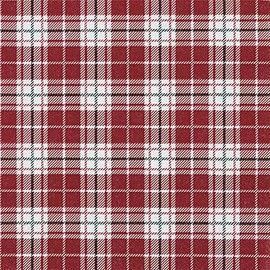 20 Napkins Fine Check Design Red Checked Checked Winter Christmas Table Decoration Decoupage Decoupage Decoupage 33 x 33 cm