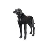 Rukka Pets Sierra Sweatshirt for Dogs Black 40