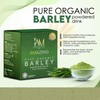 WORLDWIDE Amazing Pure Organic Barley Powdered Drink Mix (10 x