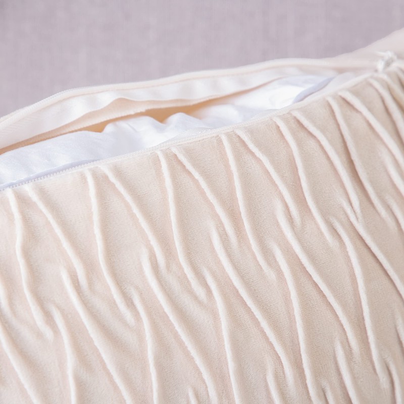 Madizz Pack of 2 Super Soft Velvet Decorative Cushion Covers