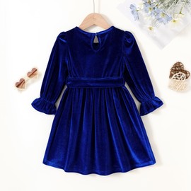 JEELLIGULAR Toddler Baby Girl Dress Long Sleeve Fall Winter Velvet Crew Neck Dresses for Littler Girls Kids Princess Party Dress(Sapphire Blue,4-5T)