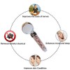 Vigur Shower Head Handheld Vitamin C Shower Filter (Transparent)