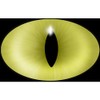 CafePress Cat's Yellow Eye Oval Sticker Oval Car Bumper Sticker