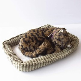 Ninandokino Perfect Pet (Small Size) Pheasant Cat Plush Cat Cat Cat Realistic Realistic Miscellaneous Goods Animals Animals Healing Moving Present Gift Celebration Cute Cat Plush