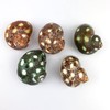 Heyiwell 5PC Spotted Turbo Shells,Hermit Crab Sea Shells 1.5"-2" Inch