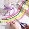 QUARKZMAN 10 Yards Pom Pom Trim Ribbon, 1 Inch Wide