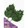 Extreme Sakaki SV Camellia Leaf Extra Thick Type S Size