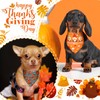 Newwiee 200 Pcs Fall Dog Bandanas Bulk Thanksgiving Bandanas for
