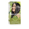 Naturtint Permanent Hair Colour, Ebony Black 1N
