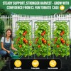 Square Tomato Cages for Garden: 3 Pack Heavy Duty Tomatoes