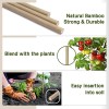 BOVITRO Plant Stakes,18 Inches Natural Garden Bamboo Sticks,BOVITRO 20Pcs Plant