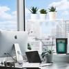 Sumerflos 2 Pack Clear Acrylic Window Plant Box - 12''
