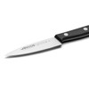 Arcos Paring Knife 4 Inch Stainless Steel. Professional Knife for
