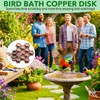 1 Pack Bird Bath Copper Disk for Physical Clean Water