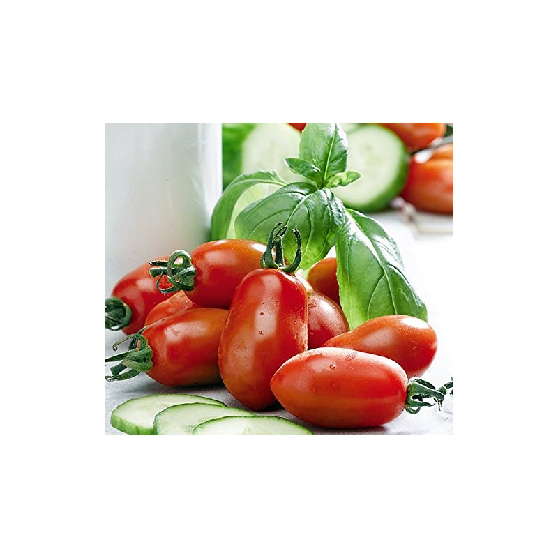 30+ Italian San Marzano Paste Tomato Seeds, Heirloom Non-GMO, Indeterminate,
